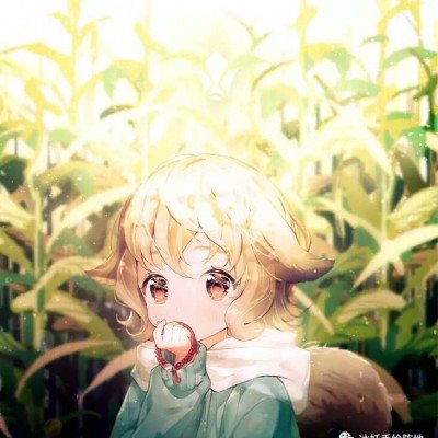 张婧仪将暂停配合宣传你好星期六